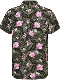 Blouse kaki/zwart/lichtroze