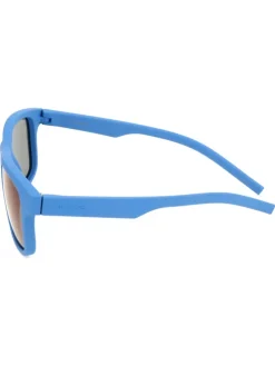 Herenzonnebril blauw/bruin
