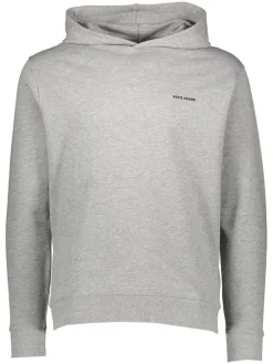 Hoodie lichtgrijs