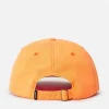 Pet "Mixed 6 Panel" oranje
