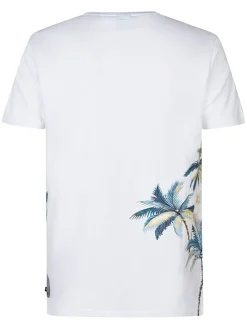 Shirt wit
