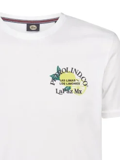 Shirt wit
