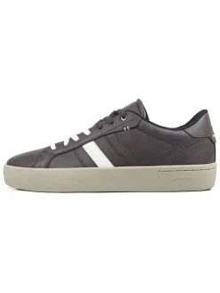 Sneakers bruin