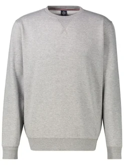 Sweatshirt grijs