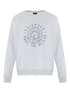 Sweatshirt grijs
