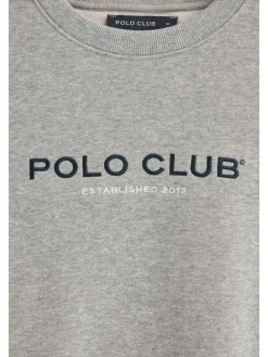 Sweatshirt grijs