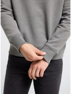 Sweatshirt grijs