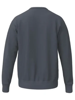 Sweatshirt grijs