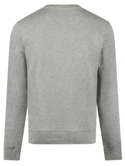 Sweatshirt grijs
