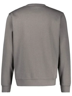 Sweatshirt grijs