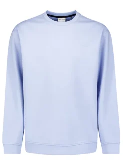 Sweatshirt lichtblauw