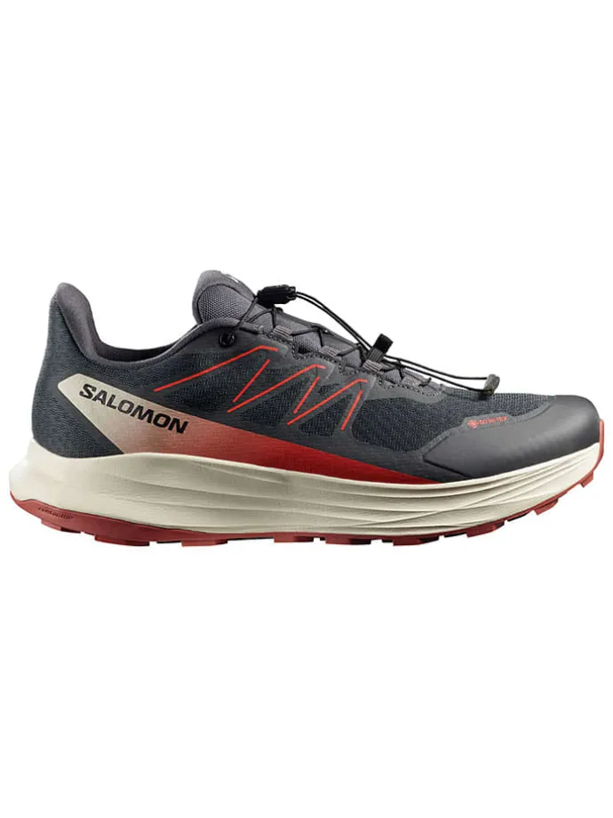 Trailrunningschoenen "ALPHARIDE 2 GORE-TEX" antraciet