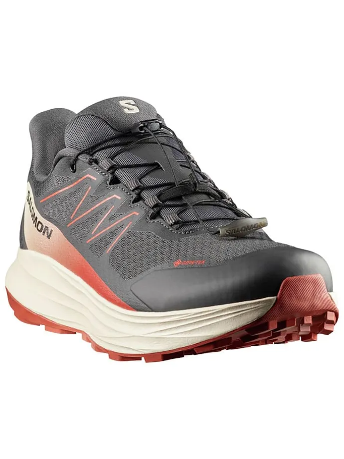 Trailrunningschoenen "ALPHARIDE 2 GORE-TEX" antraciet
