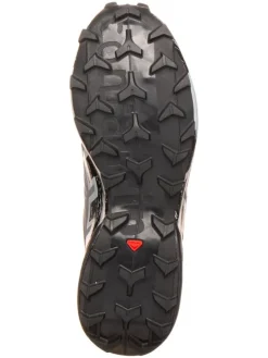 Trailrunningschoenen "Speedcross 6 GTX" grijs