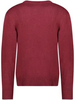 Trui "Flinder" bordeaux