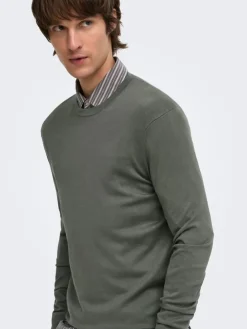 Trui "Onswyler" grijs